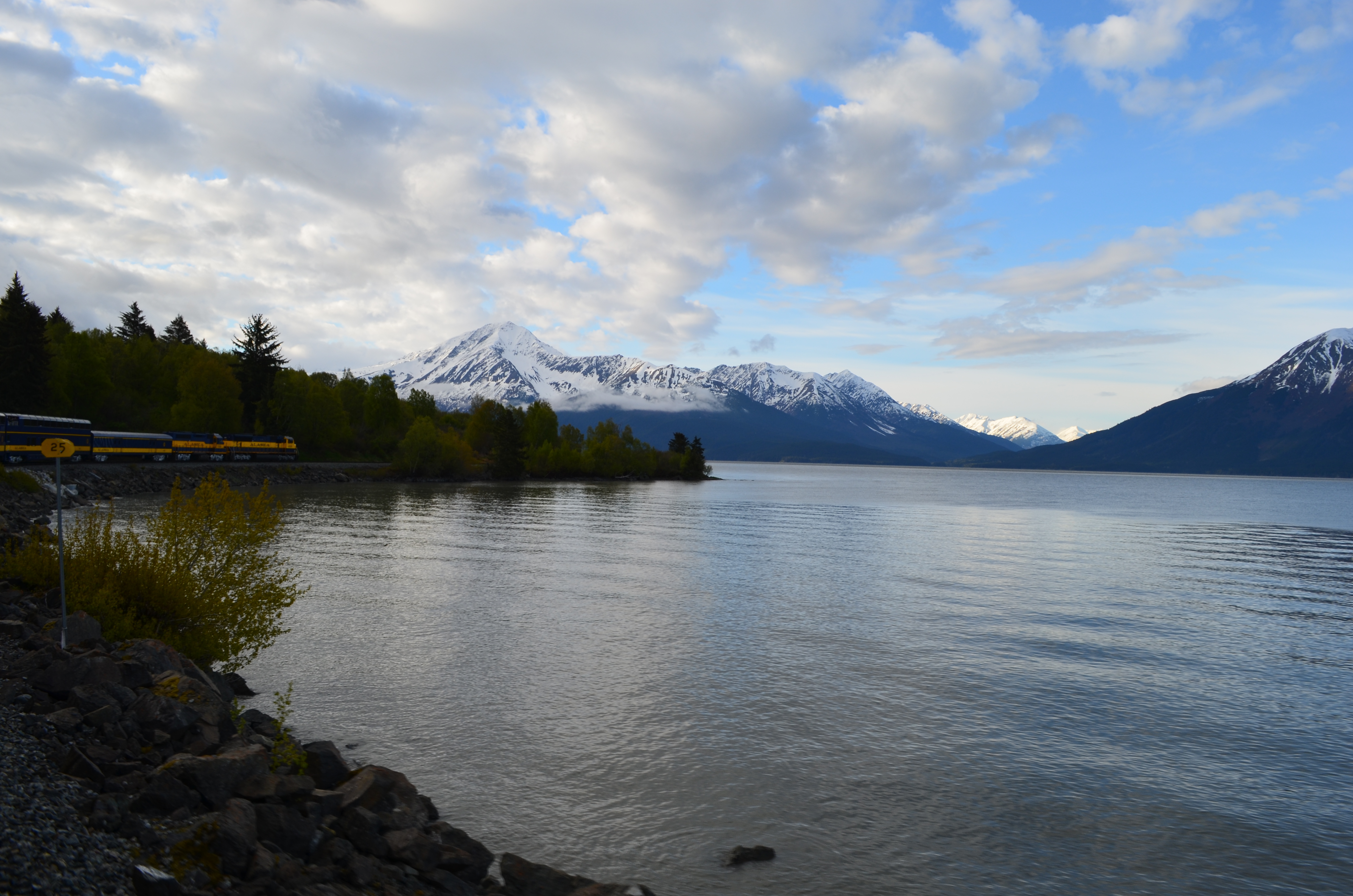 ./2017/08 - Alaska Cruise/05 - Train to Seward/DSC_0450.JPG
